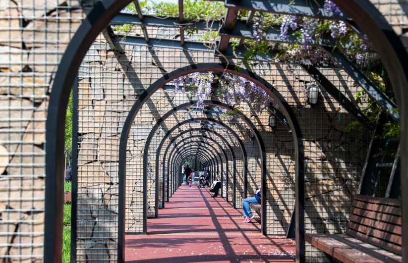 【沿着海河“瞰”天津】走进天津河西绿道公园感受绿色自然生态之美_fororder_22